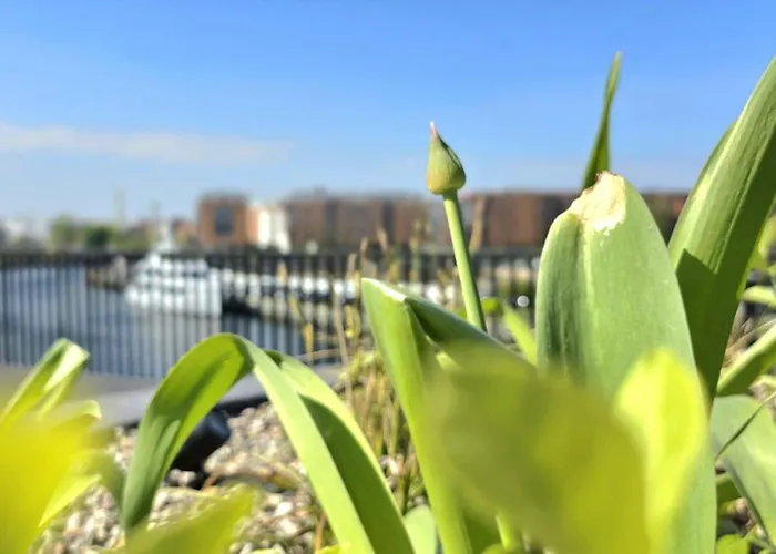 Triapart Between The Rivers, Kids Play & Gym Daire Gdansk