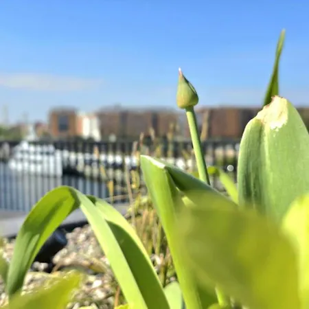 Triapart Between The Rivers, Kids Play & Gym Apartmán Gdaňsk
